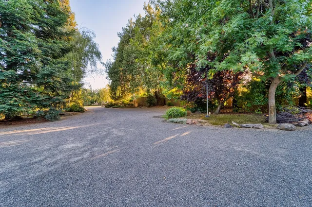 a view of a field with trees in the background