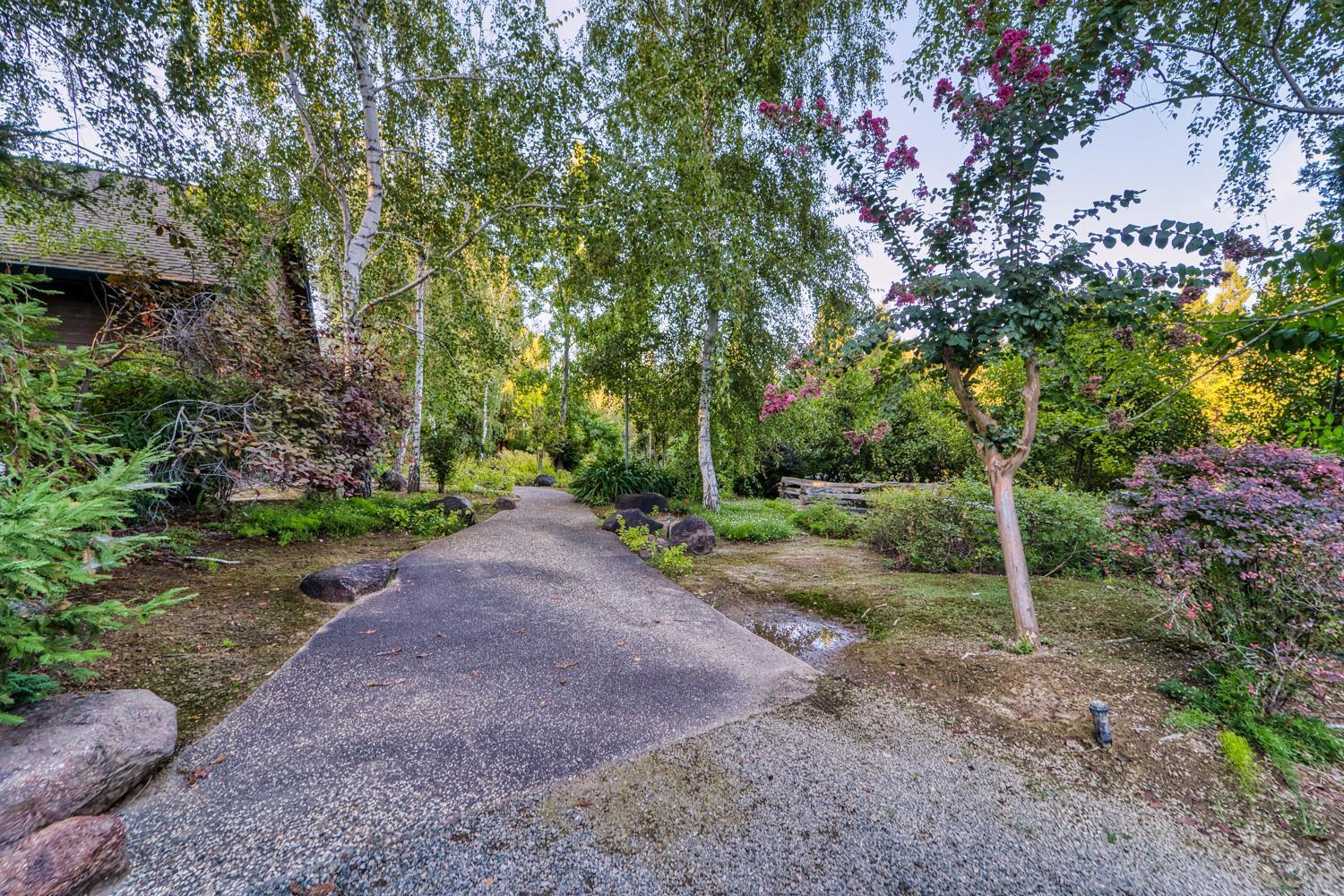 683 Stewart Road Yuba City, CA 95991 - Photo 30 of 55 a view of a yard with plants and large trees