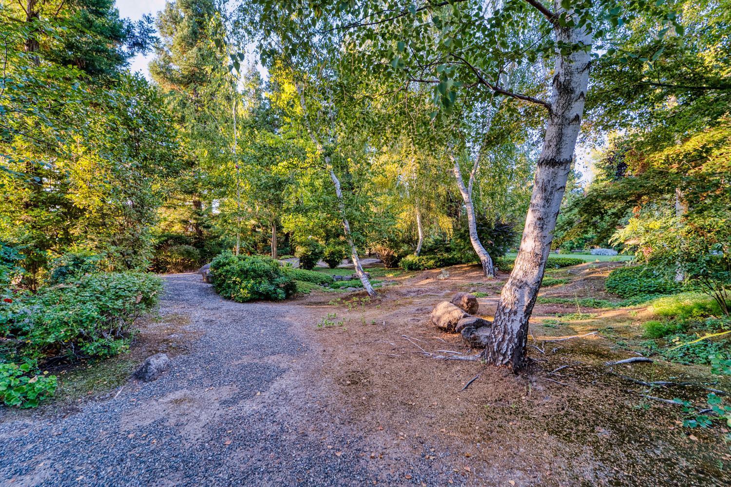 683 Stewart Road Yuba City, CA 95991 - Photo 35 of 55 a view of a yard with a tree