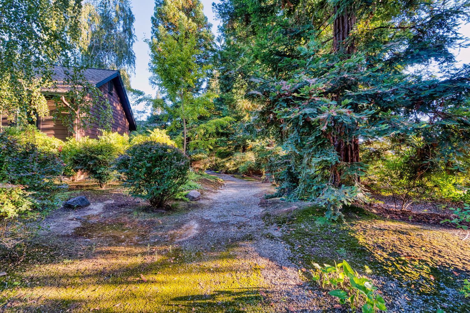 683 Stewart Road Yuba City, CA 95991 - Photo 36 of 55 a view of swimming pool with a yard