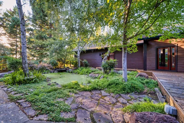 a view of a garden with large trees