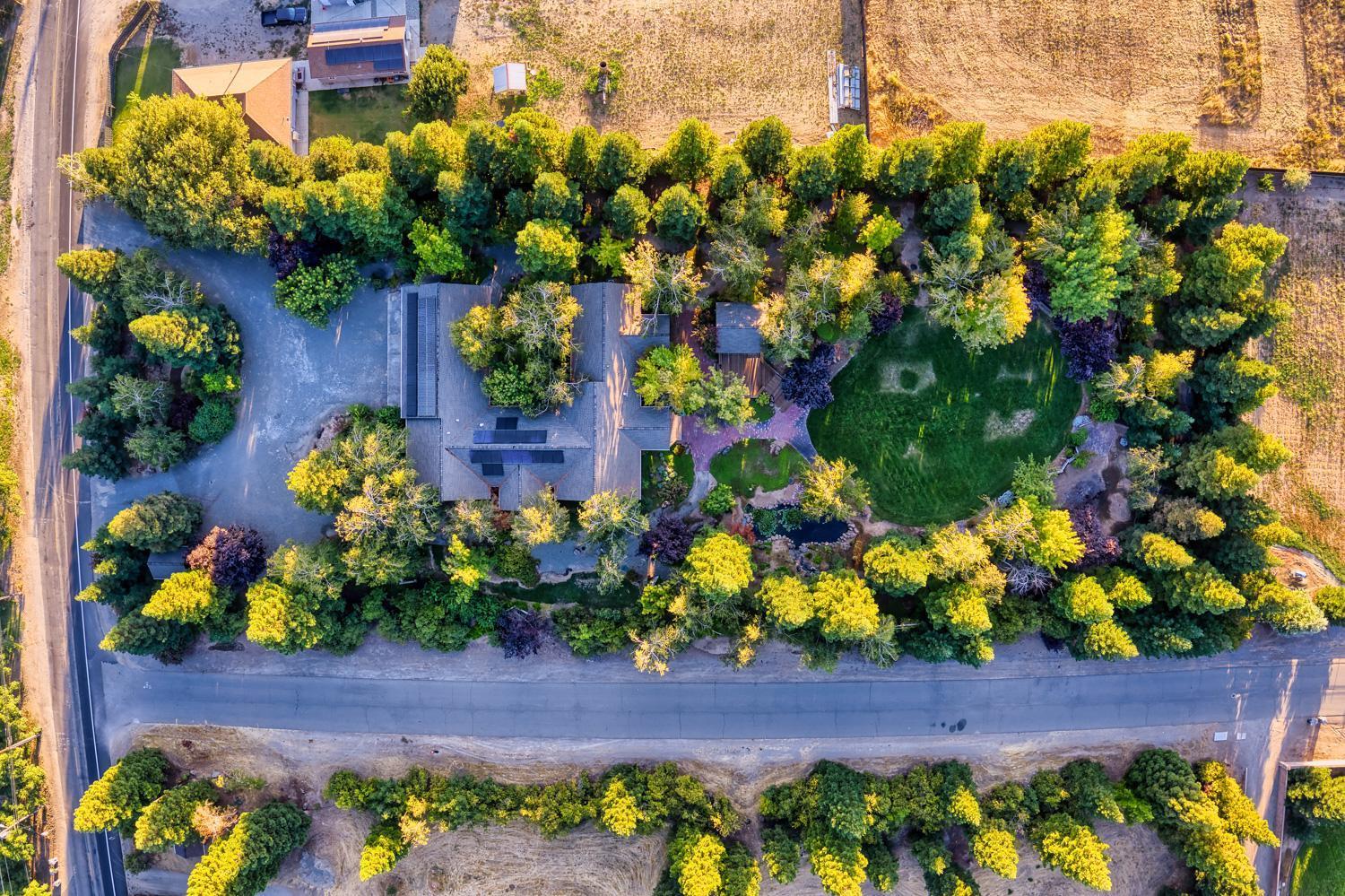 683 Stewart Road Yuba City, CA 95991 - Photo 50 of 55 a bunch of flowers with a lot of flowers