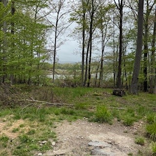 3384 Huggins Road Tyrone, NY 14815 - Photo 19 of 22