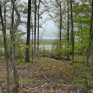3384 Huggins Road Tyrone, NY 14815 - Photo 22 of 22