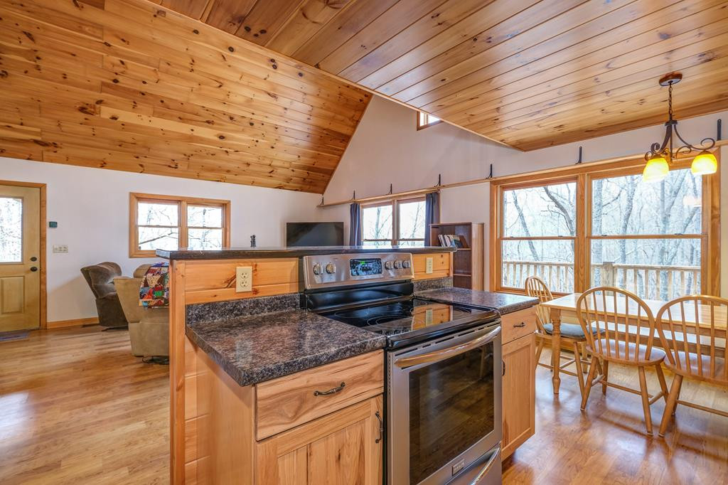 551 Timberwood Hills Road Murphy, NC 28906 - Photo 11 of 75