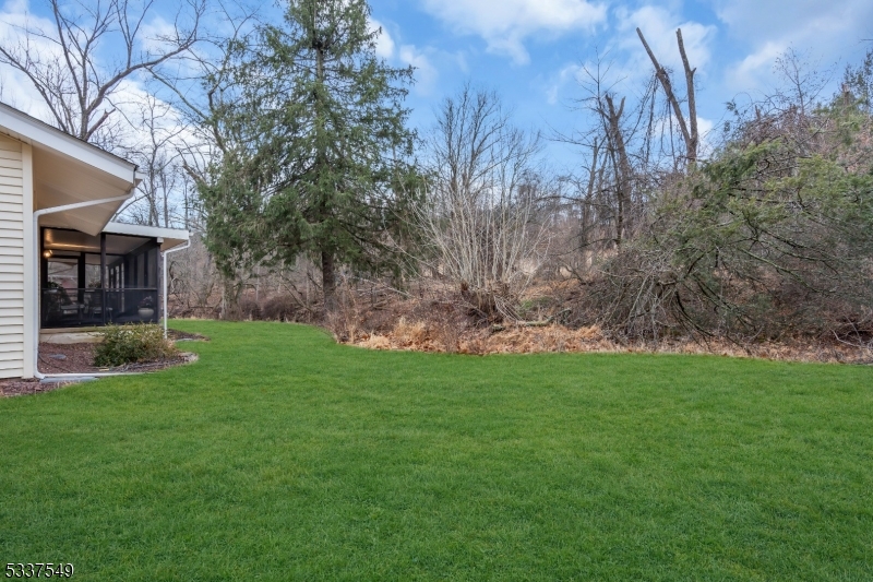 41 Cherryville Hollow Road Flemington, NJ 08822 - Photo 43 of 48 a view of a backyard with large trees