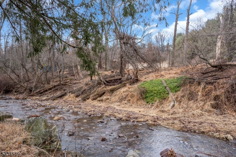 41 Cherryville Hollow Road Flemington, NJ 08822 - Photo 45 of 48 a backyard of a house with lots of green space