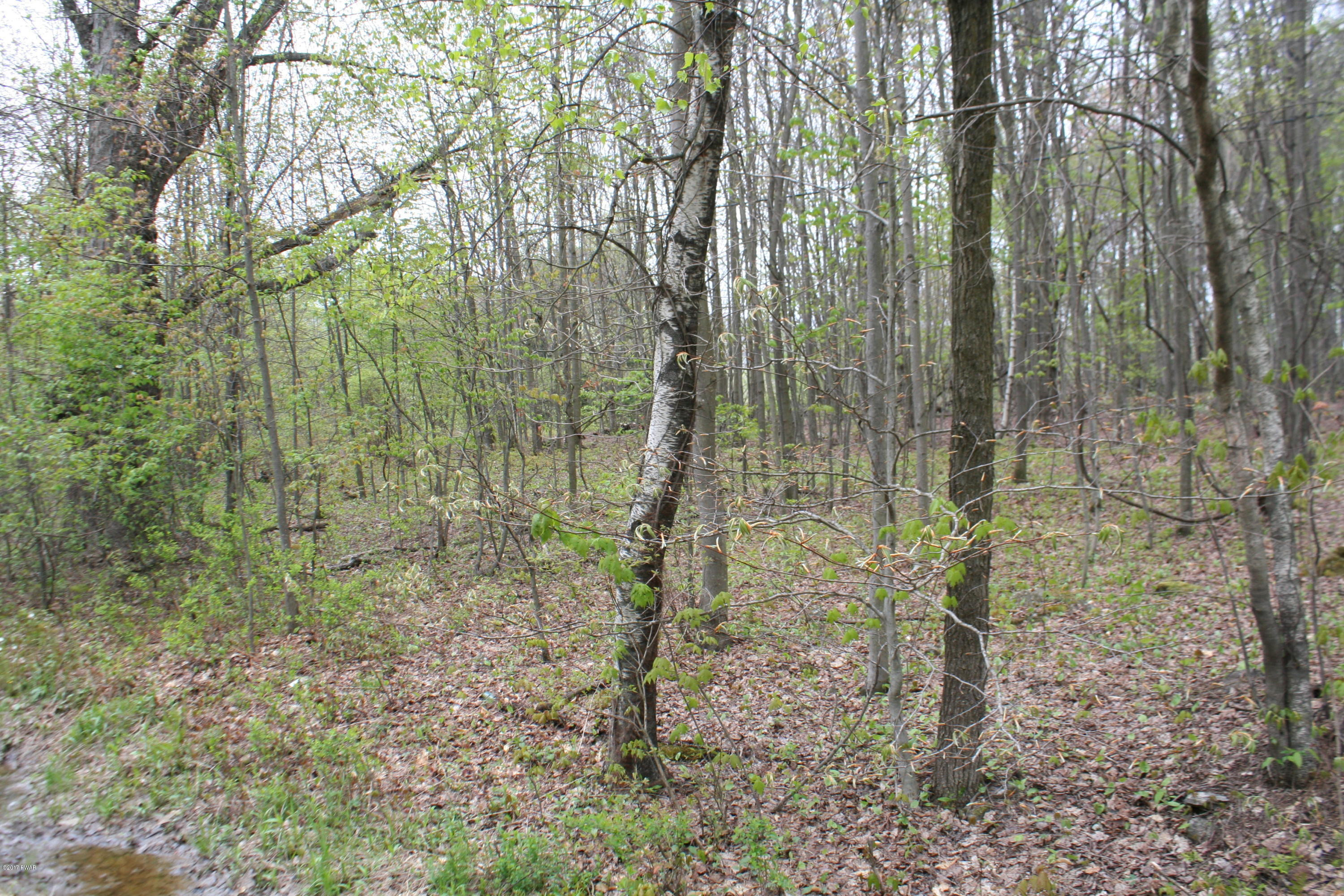249 North Smith Road Waymart, PA 18472 - Photo 6 of 9