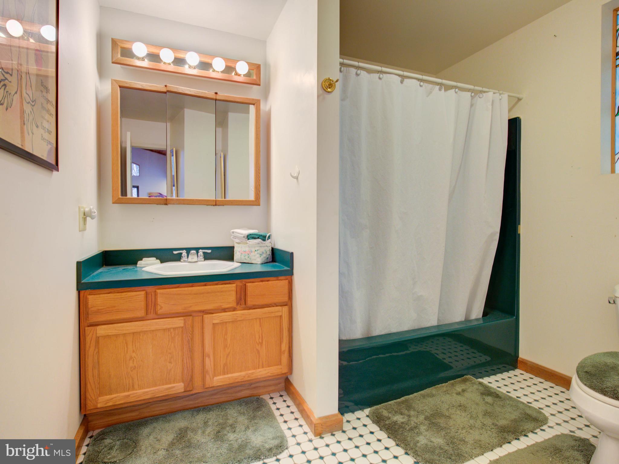2156 Feltner Road Bluemont, VA 20135 - Photo 22 of 30 Hall full Bath