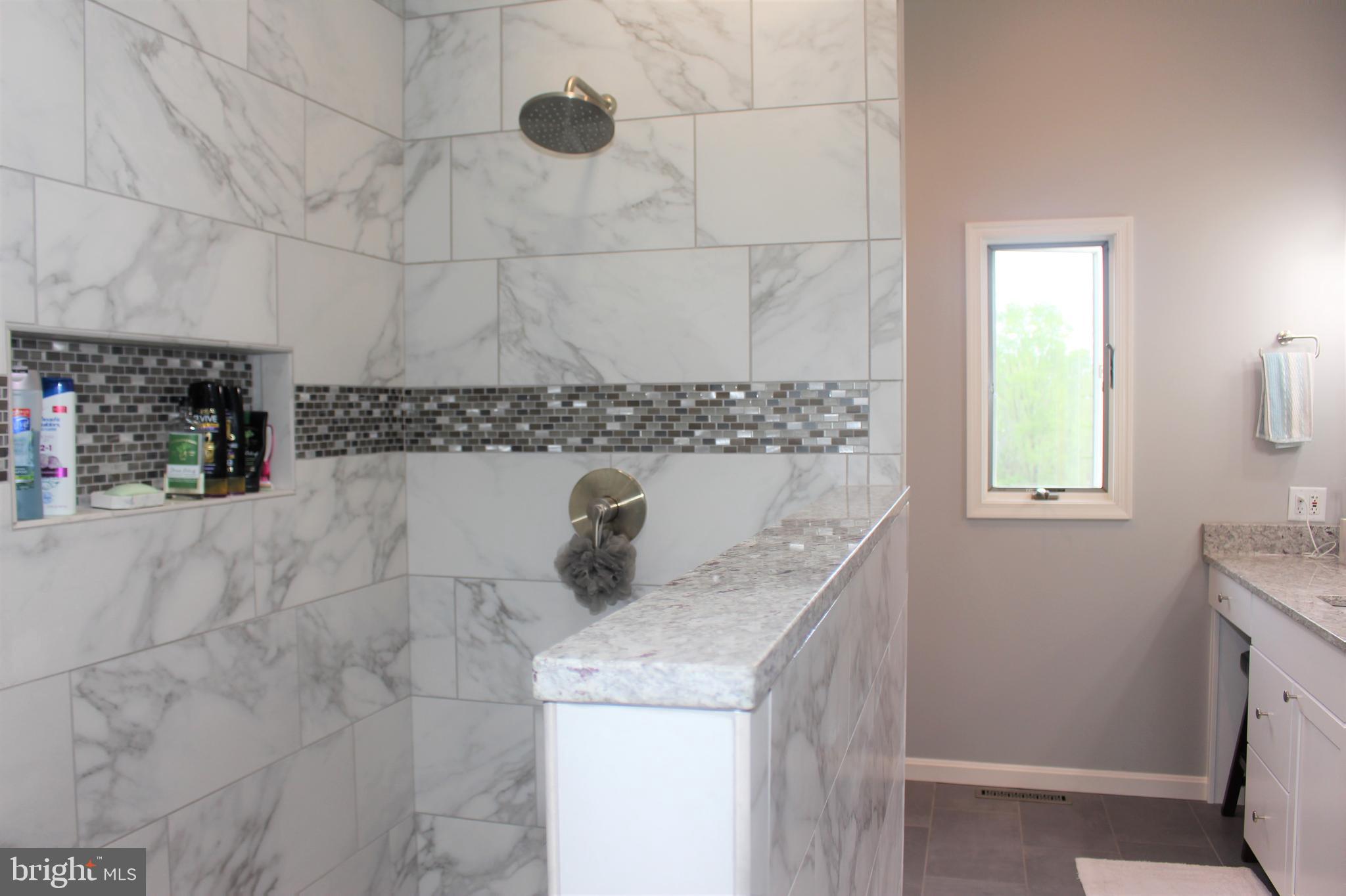 256 Willis Road Etters, PA 17319 - Photo 24 of 52 Master bath view 2