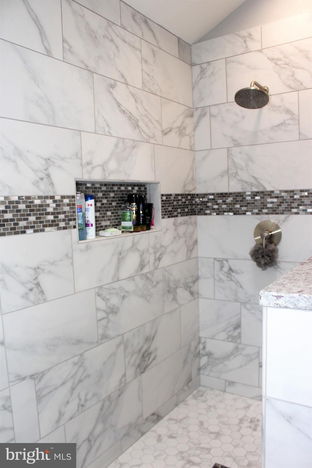 256 Willis Road Etters, PA 17319 - Photo 25 of 52 Master bath view 3