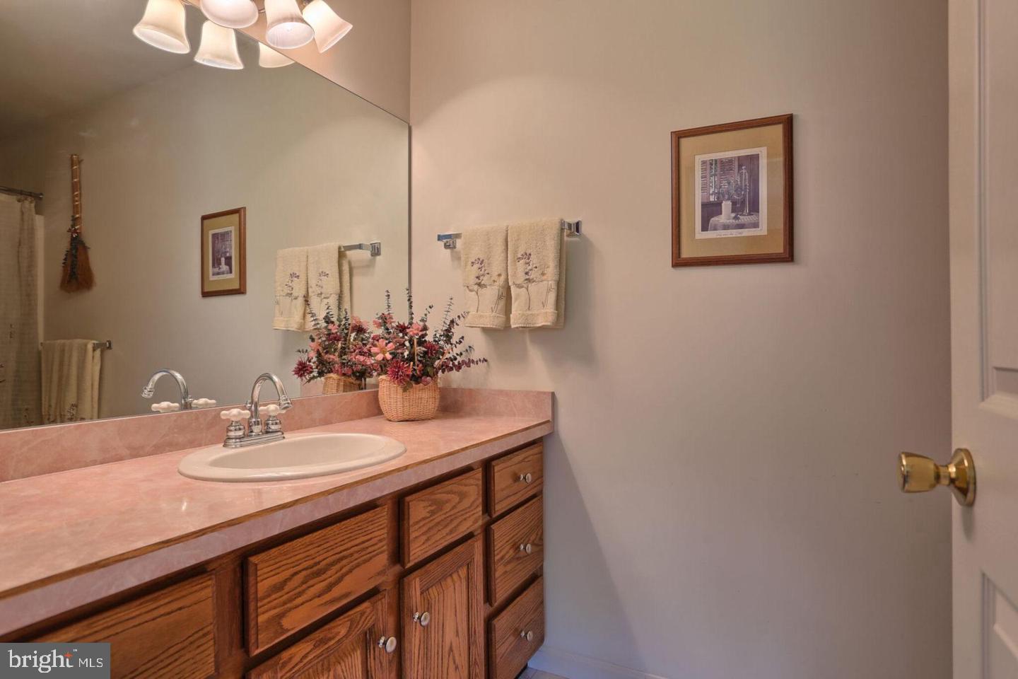 256 Willis Road Etters, PA 17319 - Photo 28 of 52 2nd floor bath (attached to bedroom #4)