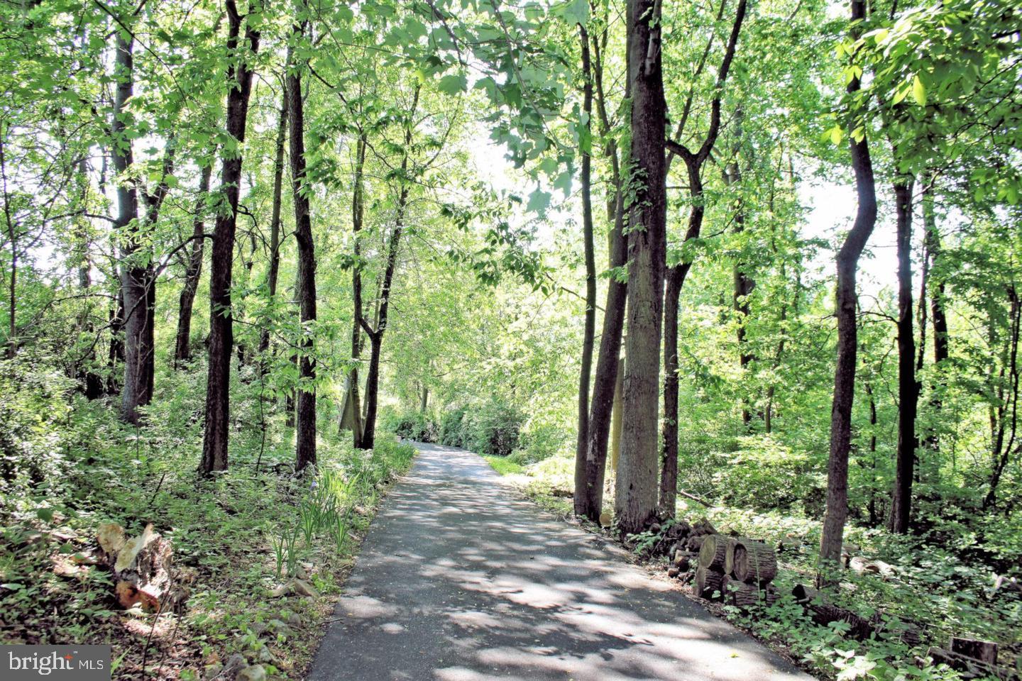 256 Willis Road Etters, PA 17319 - Photo 44 of 52 Private driveway entrance