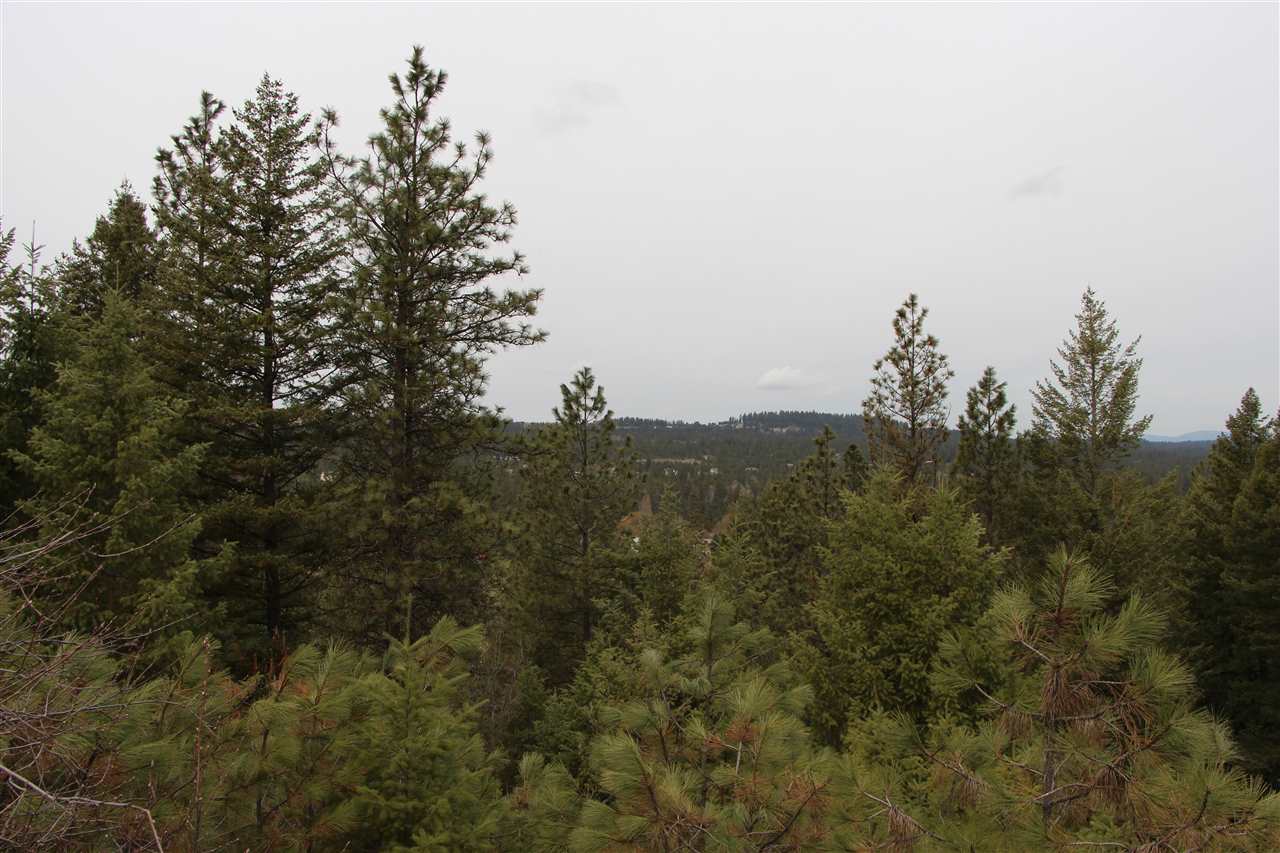 3505 East Norwood Road Colbert, WA 99005 - Photo 15 of 17