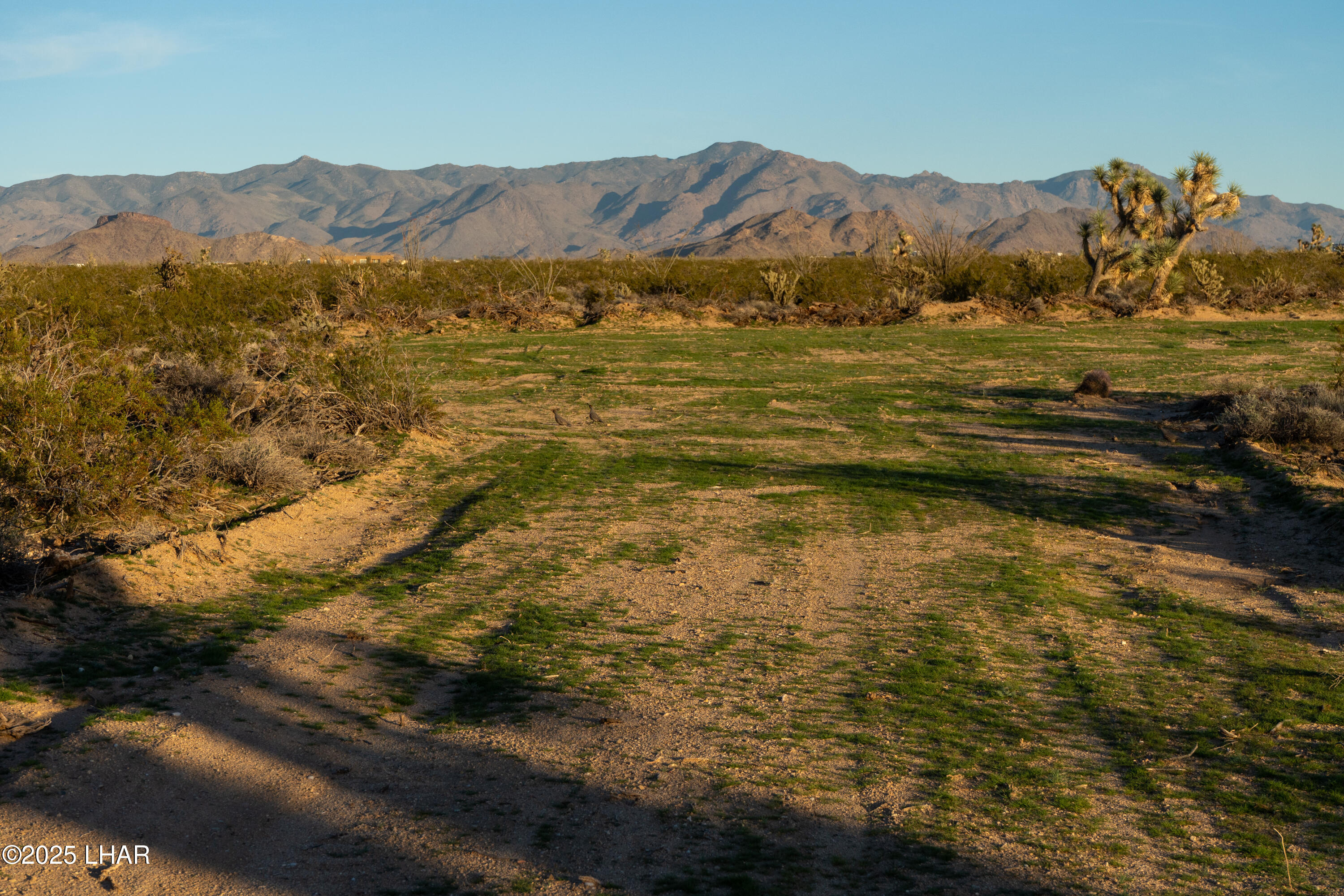 Lot 30 South Carmen Road Yucca, AZ 86438 - Photo 3 of 19 Gallery Image 3
