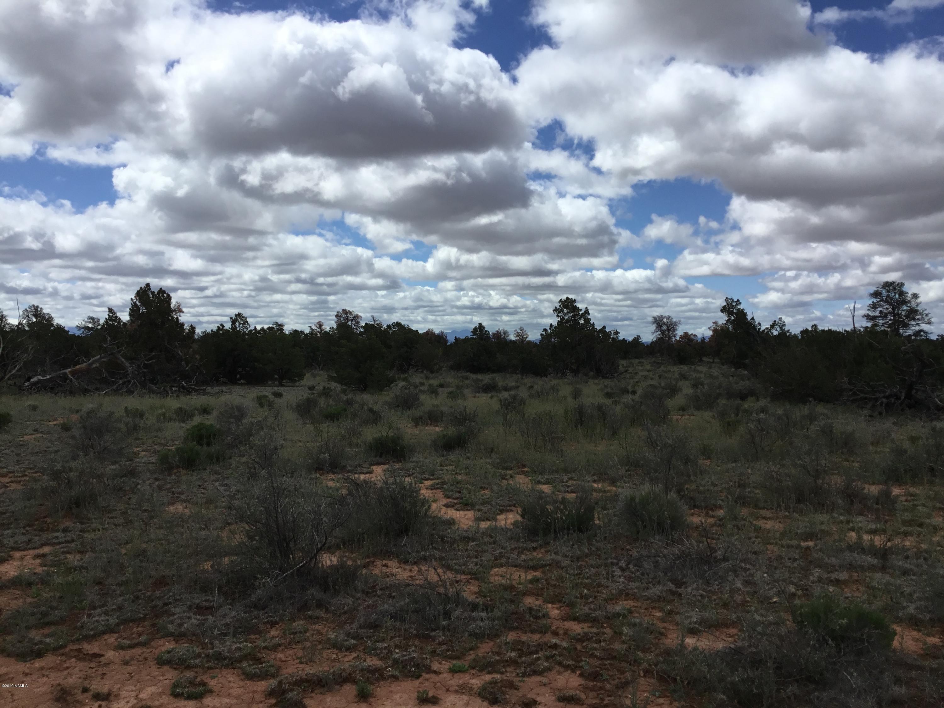 2670 North Lipan Road Williams, AZ 86046 - Photo 8 of 9 7D365FEE-6346-4A83-980B-7238F5EC7181