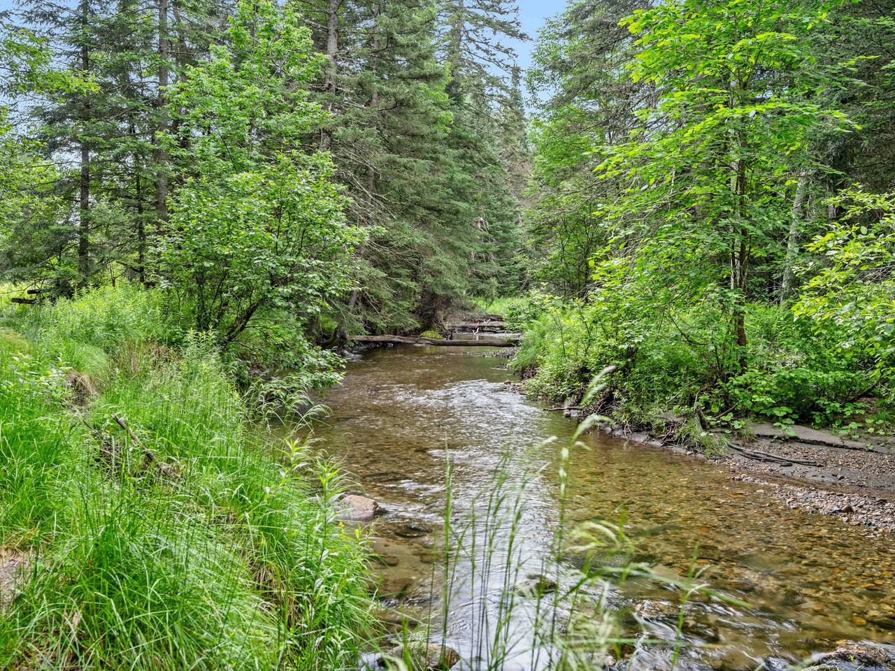 4614 Brook Road Plainfield, VT 05641 - Photo 57 of 59