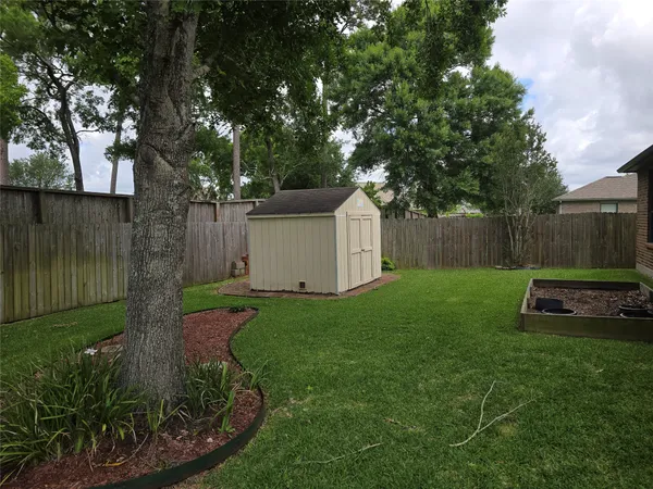 a view of a backyard with plants and a large tree