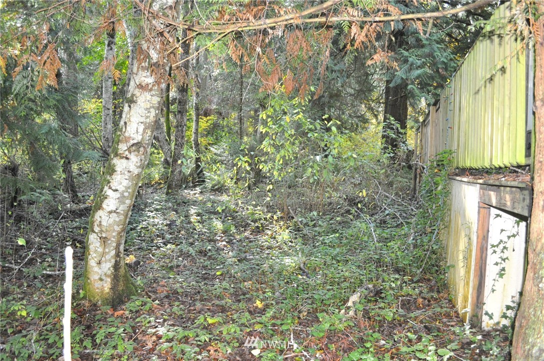 2147 Culp Court Point Roberts, WA 98281 - Photo 14 of 29 a view of a yard with plants and large trees
