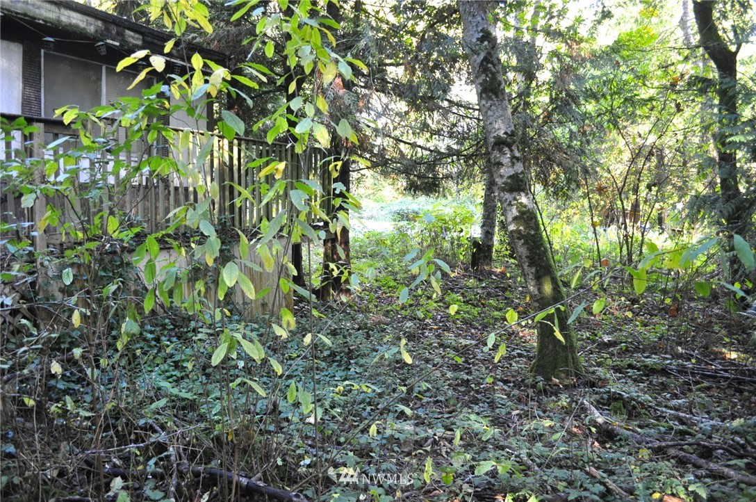 2147 Culp Court Point Roberts, WA 98281 - Photo 22 of 29 a plant view in yard