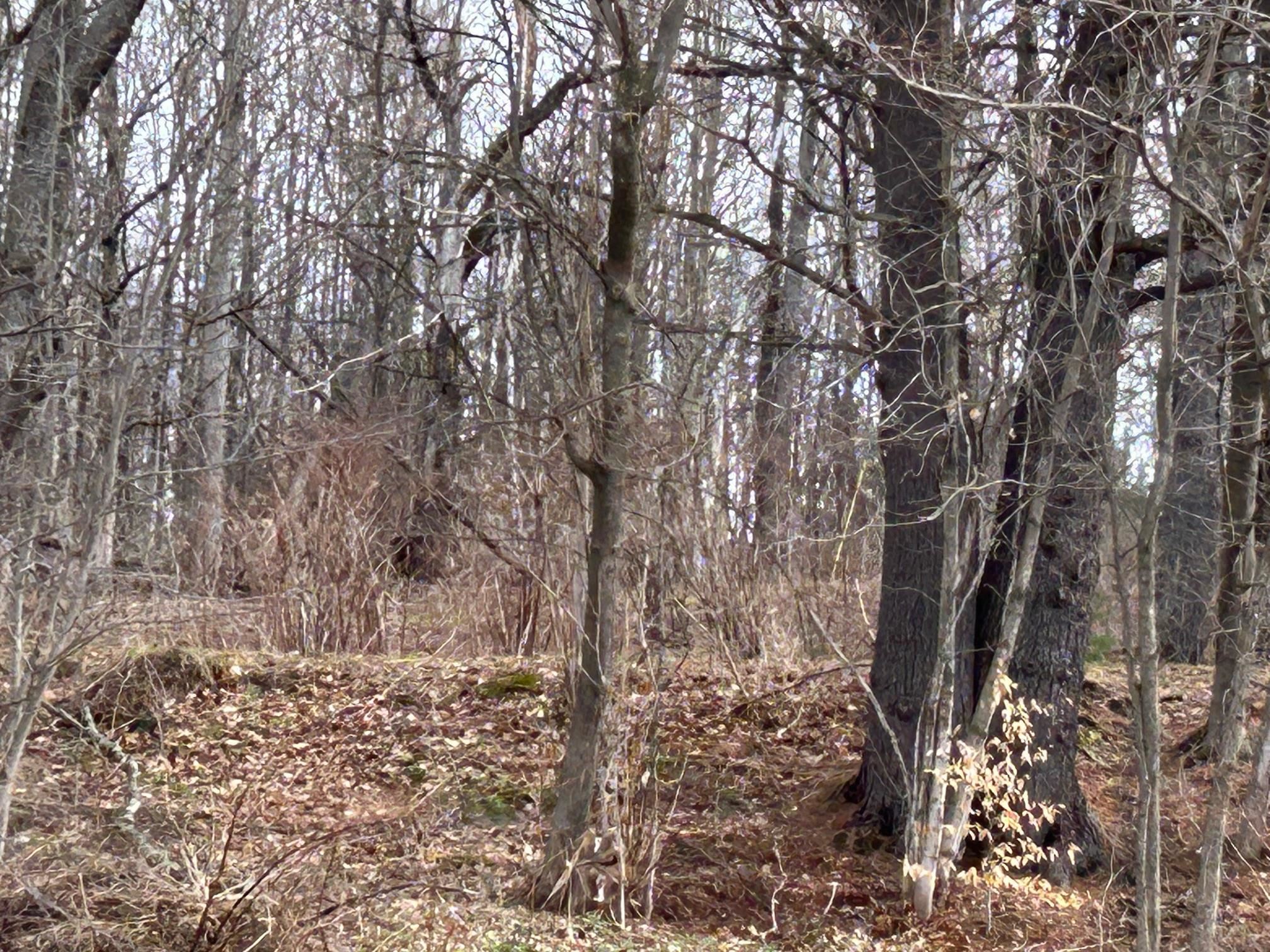 1700 Cadys Falls Road Morristown, VT 05661 - Photo 35 of 50