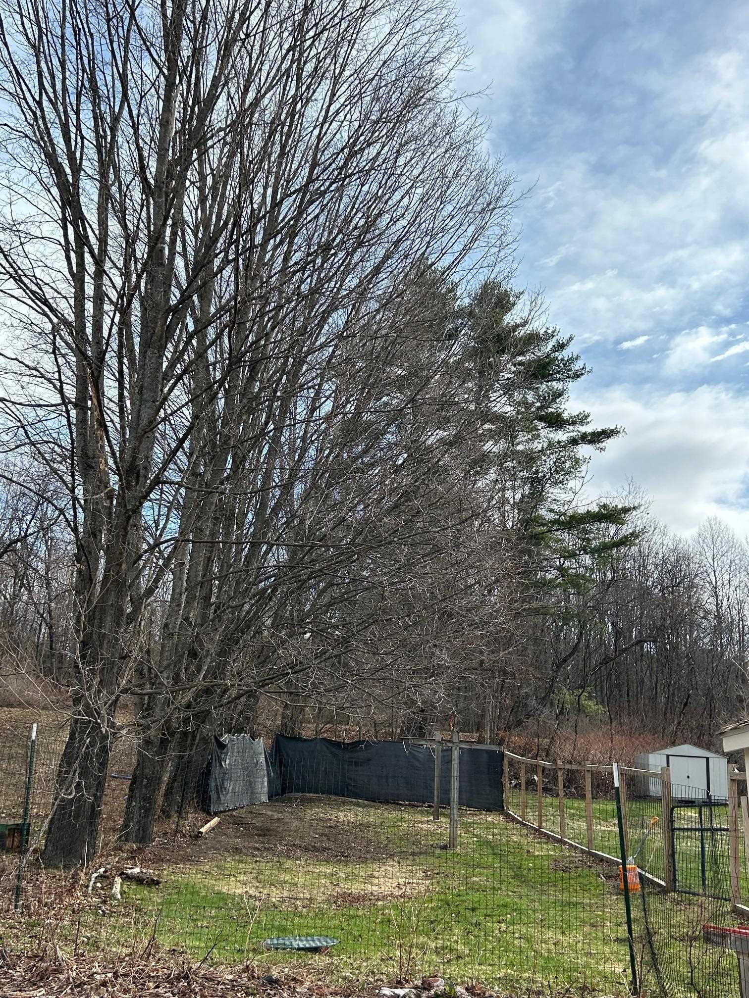 1700 Cadys Falls Road Morristown, VT 05661 - Photo 43 of 50