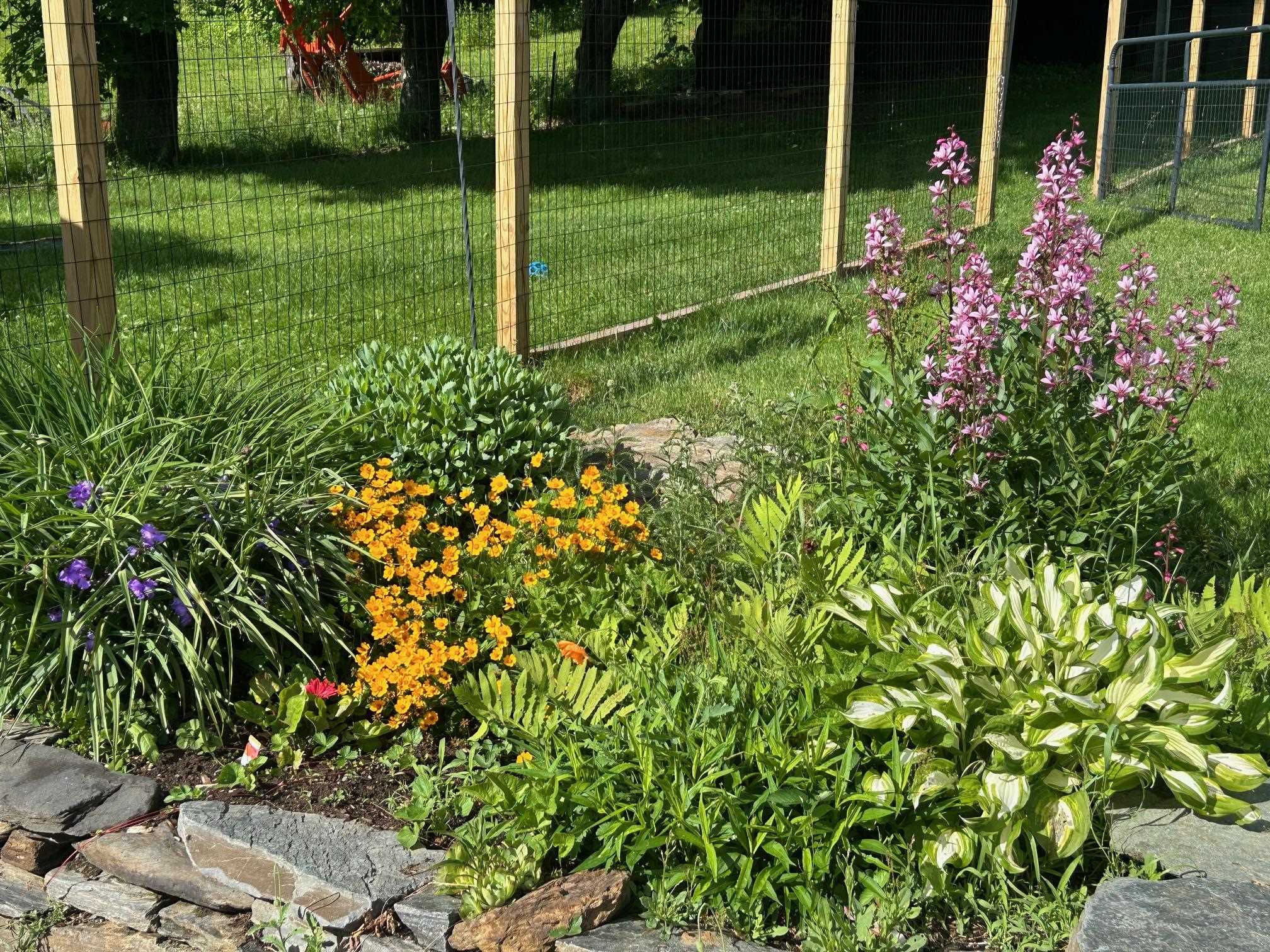 1700 Cadys Falls Road Morristown, VT 05661 - Photo 5 of 50