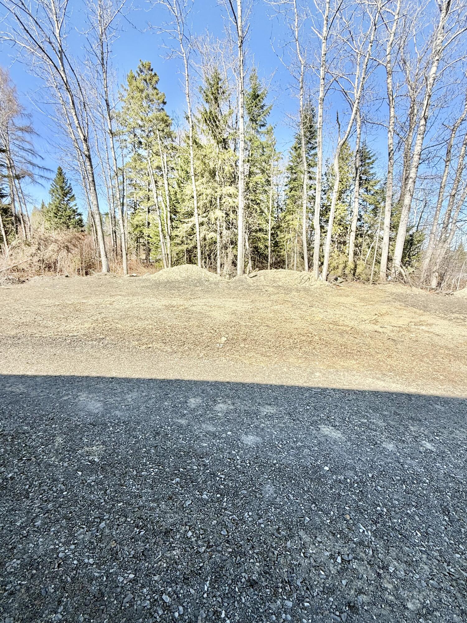 112 Sinclair Road St. David, ME 04773 - Photo 62 of 98 IMG_4141