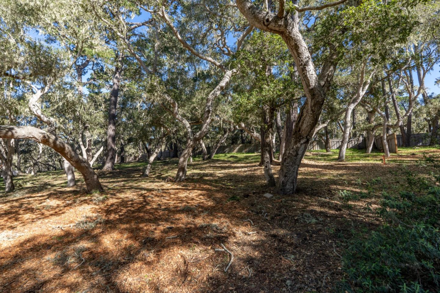 2819 Congress Road Pebble Beach, CA 93953 - Photo 4 of 8 Gallery Image 4