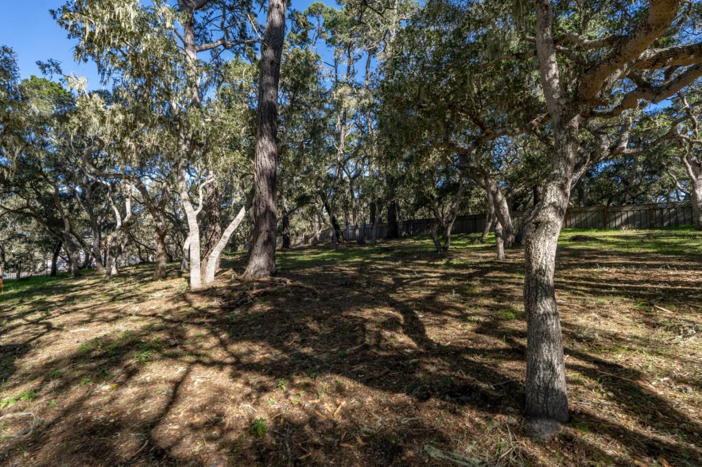 2819 Congress Road Pebble Beach, CA 93953 - Photo 6 of 8 Gallery Image 6