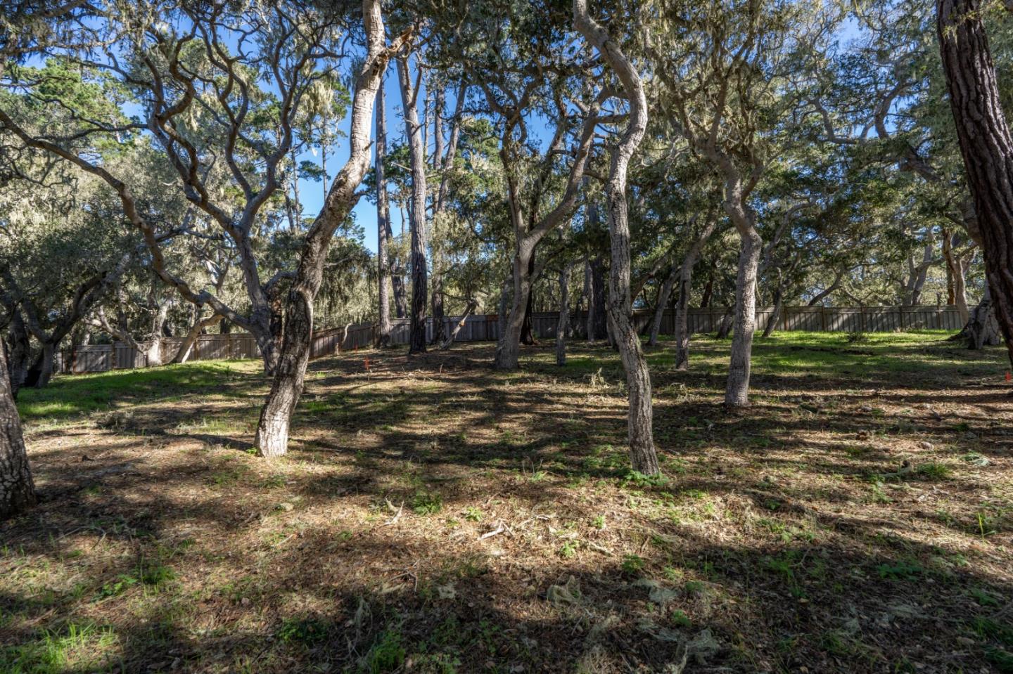 2819 Congress Road Pebble Beach, CA 93953 - Photo 7 of 8 Gallery Image 7