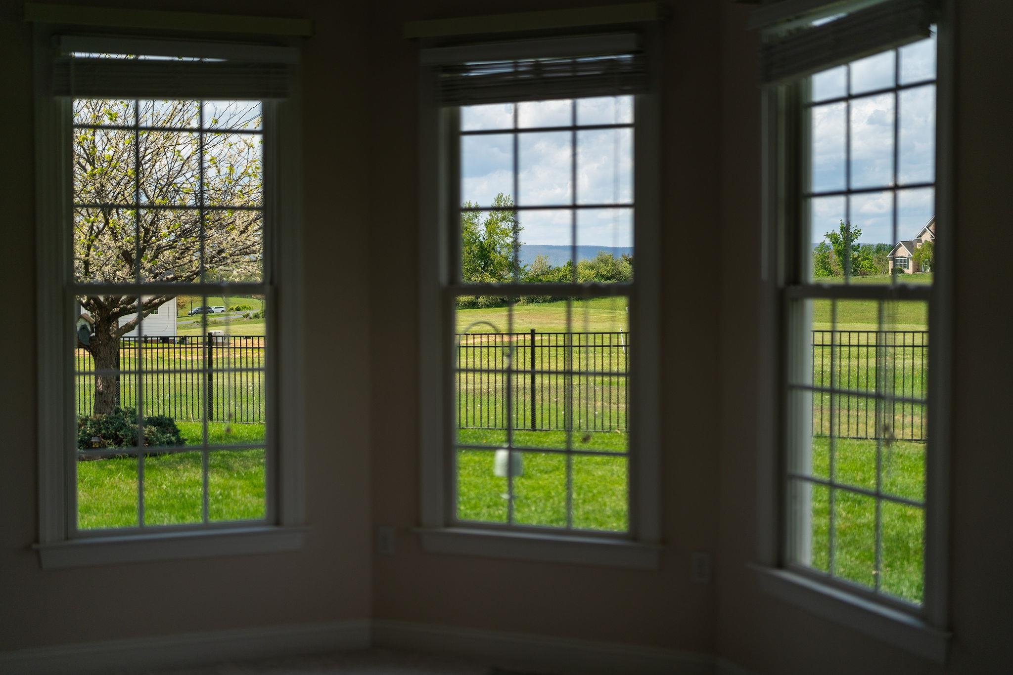 12 Ridgemore Drive Raphine, VA 24472 - Photo 15 of 75