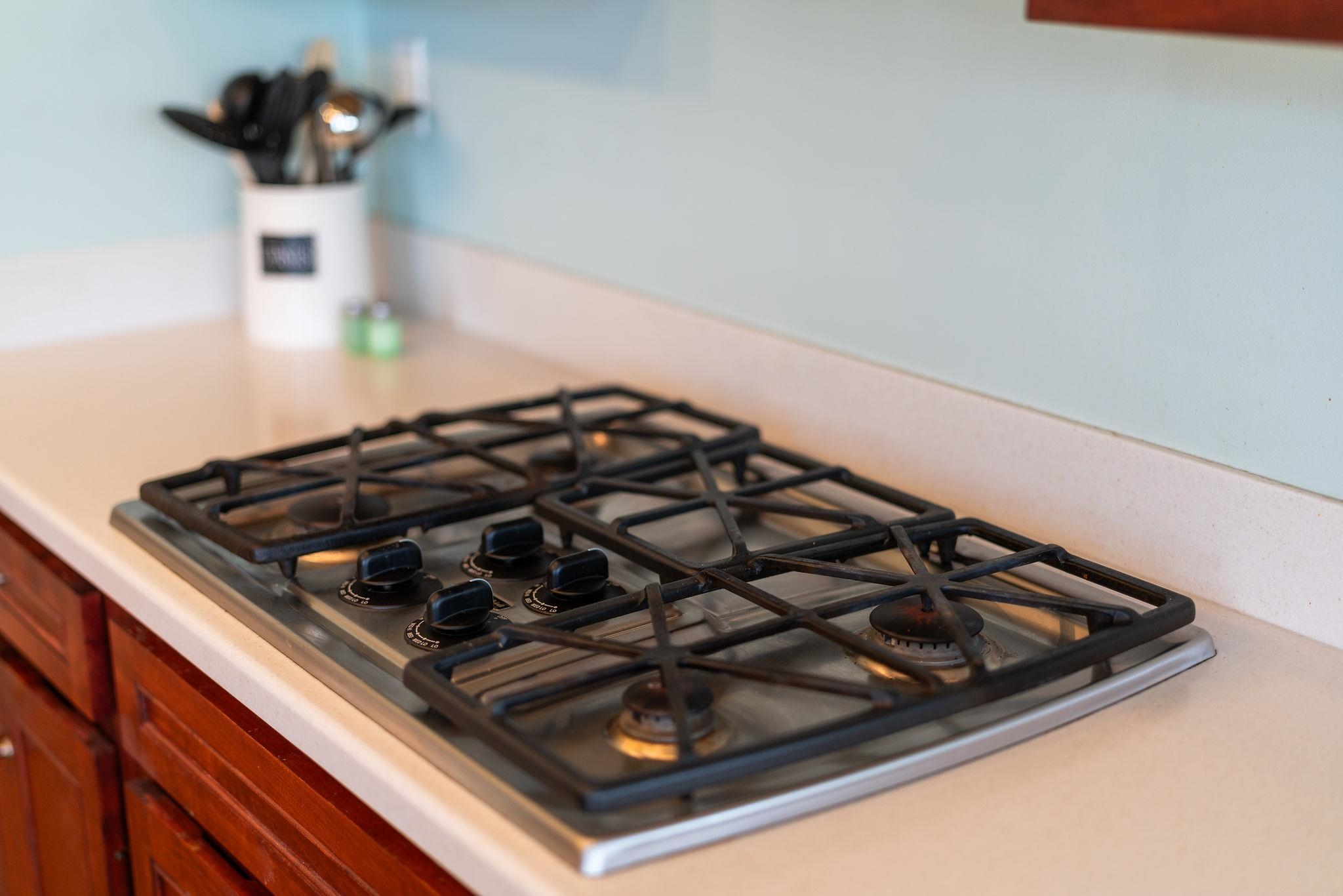 12 Ridgemore Drive Raphine, VA 24472 - Photo 19 of 75 a close up of a stove sitting inside of a kitchen