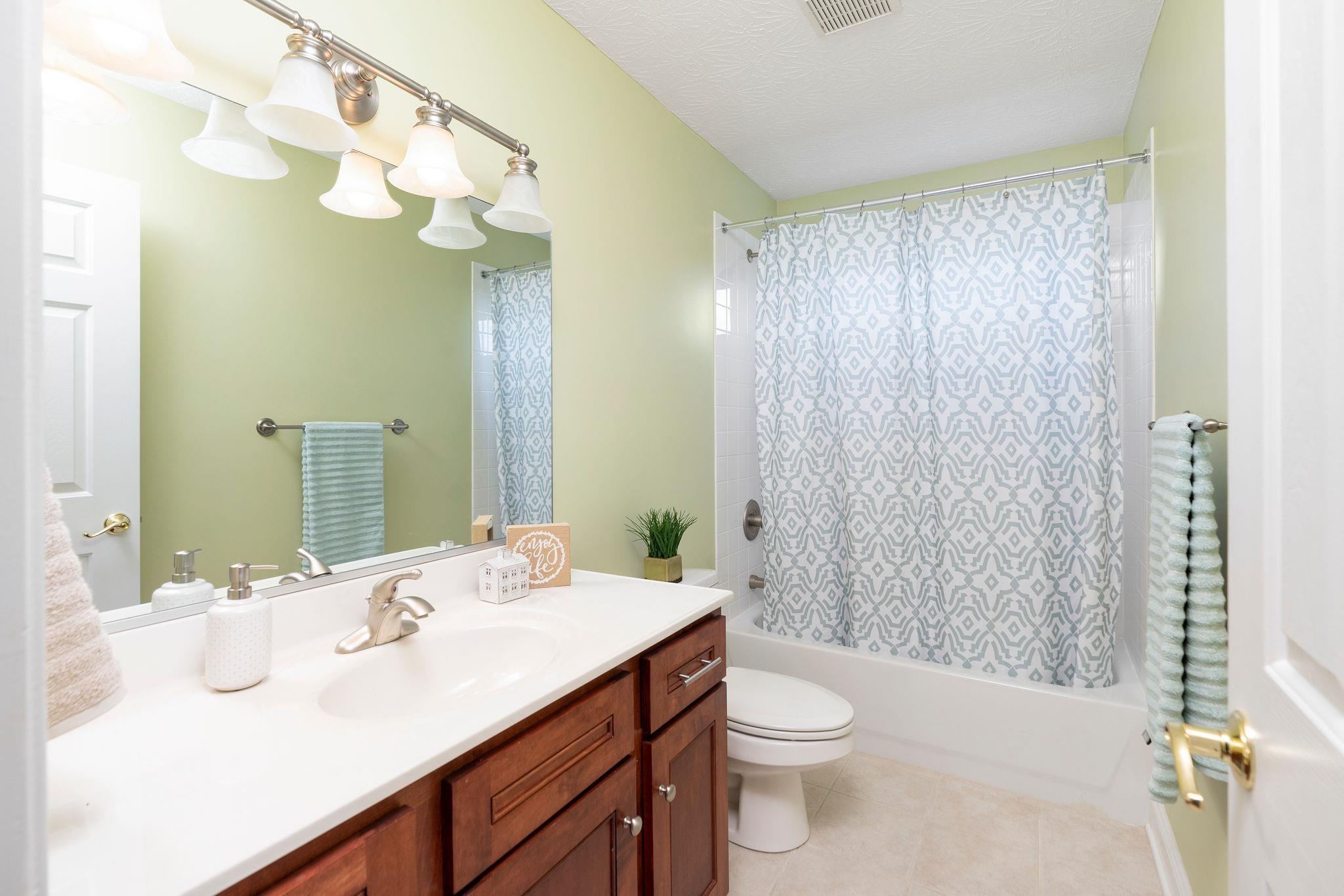 12 Ridgemore Drive Raphine, VA 24472 - Photo 49 of 75 a bathroom with a sink a toilet a mirror a vanity and shower