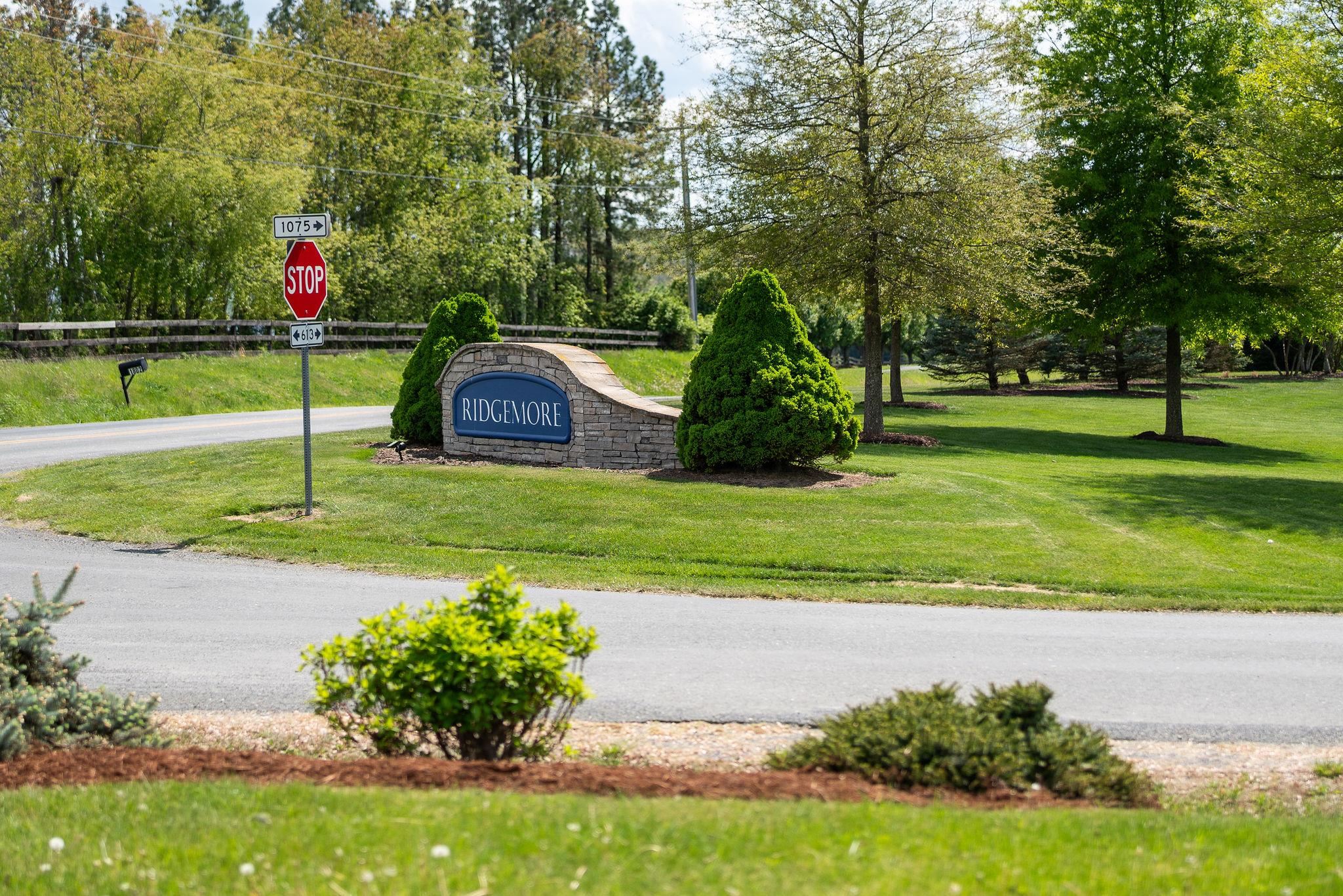 12 Ridgemore Drive Raphine, VA 24472 - Photo 74 of 75 a view of a park with large trees