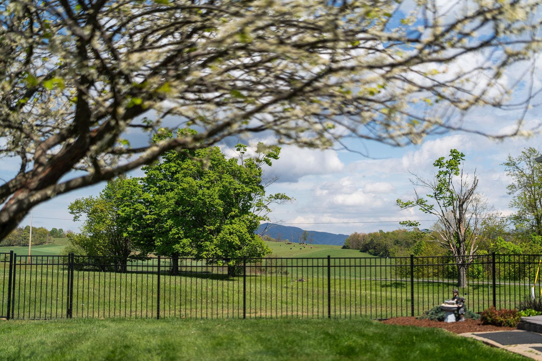 12 Ridgemore Drive Raphine, VA 24472 - Photo 75 of 75