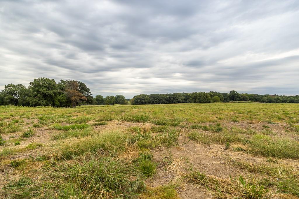 2 Southeast 1151st Road Windsor, MO 65360 - Photo 19 of 28