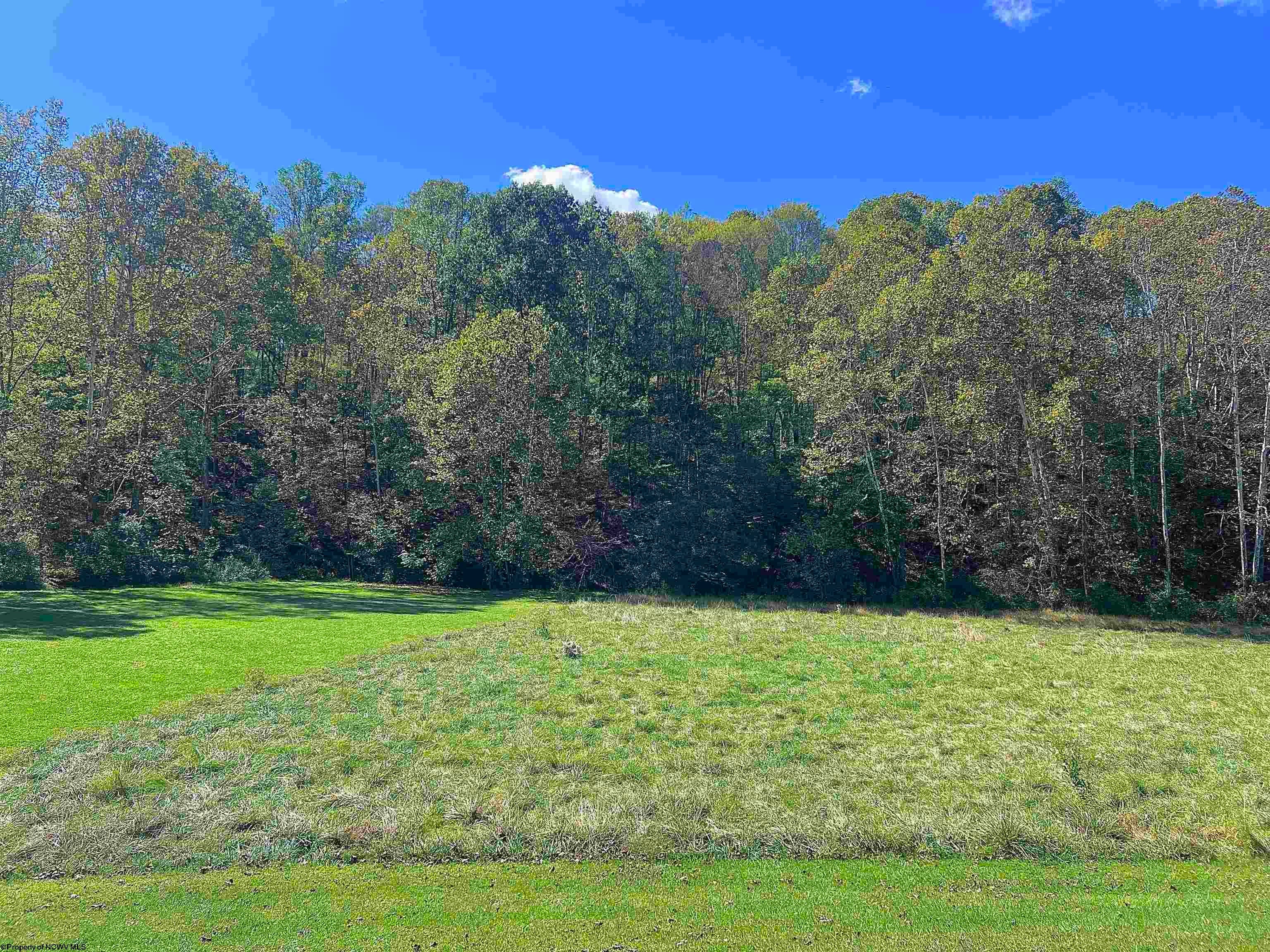3777 Green Valley Road Bridgeport, WV 26330 - Photo 17 of 21 Gallery Image 17