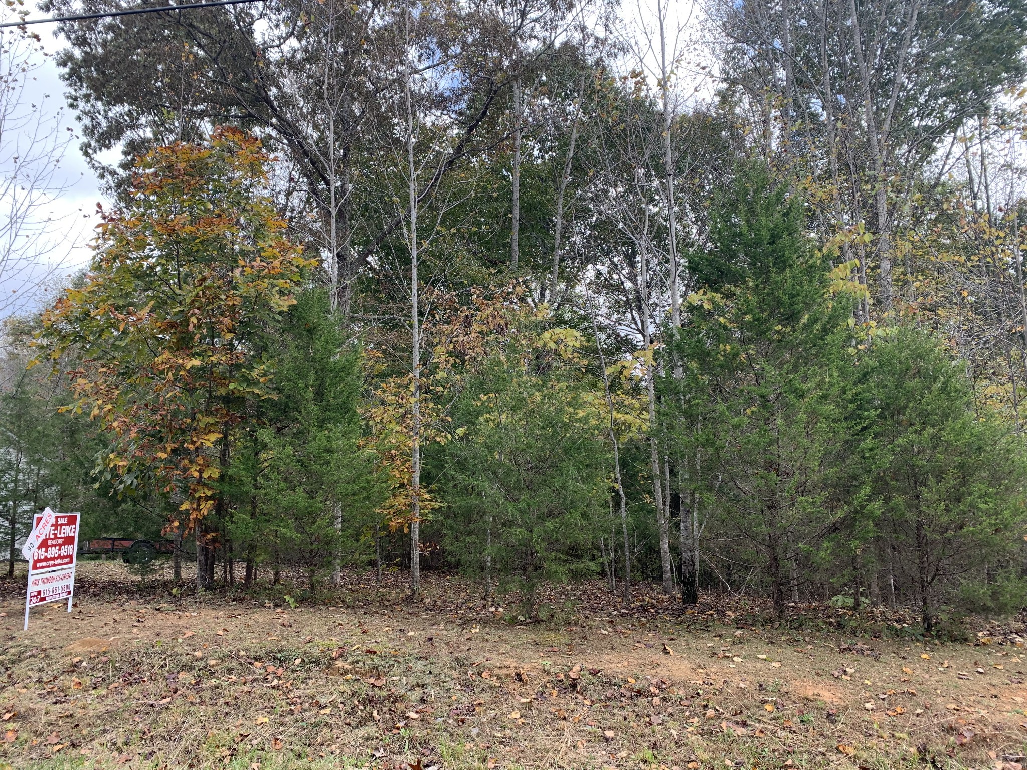 17 Lake Forrest Road Lynchburg, TN 37352 - Photo 2 of 3 a view of outdoor space with trees
