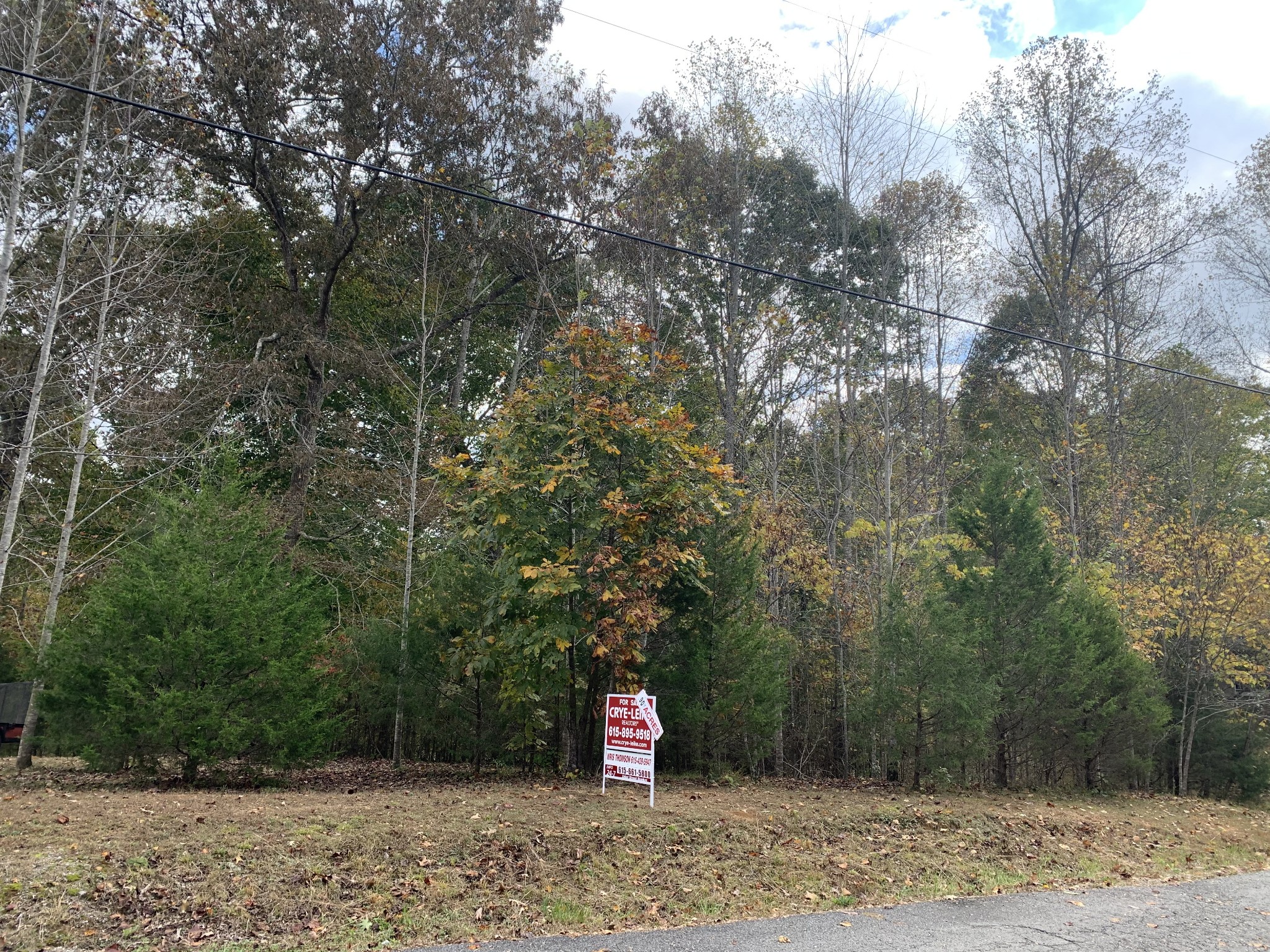 17 Lake Forrest Road Lynchburg, TN 37352 - Photo 3 of 3 a area with lots of trees