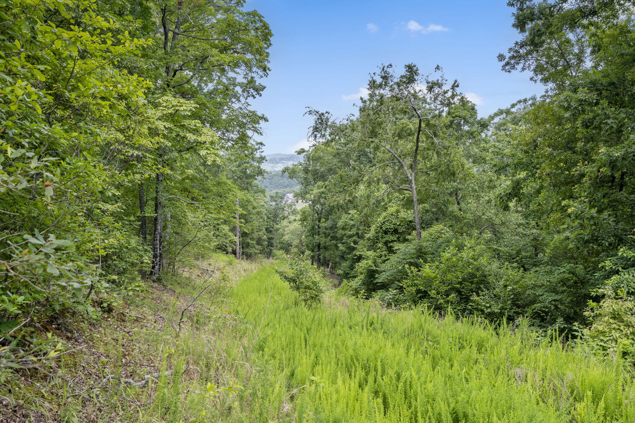 Tbd Luke Street Reeds Spring, MO 65737 - Photo 21 of 39 Tbd-Luke-St-Ozark-Lakefront-Lot