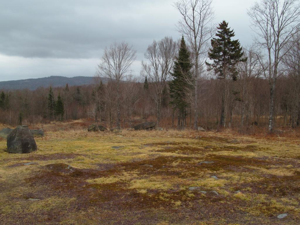 145 Deer Trail Road Clarksville, NH 03592 - Photo 5 of 19 Gallery Image 5