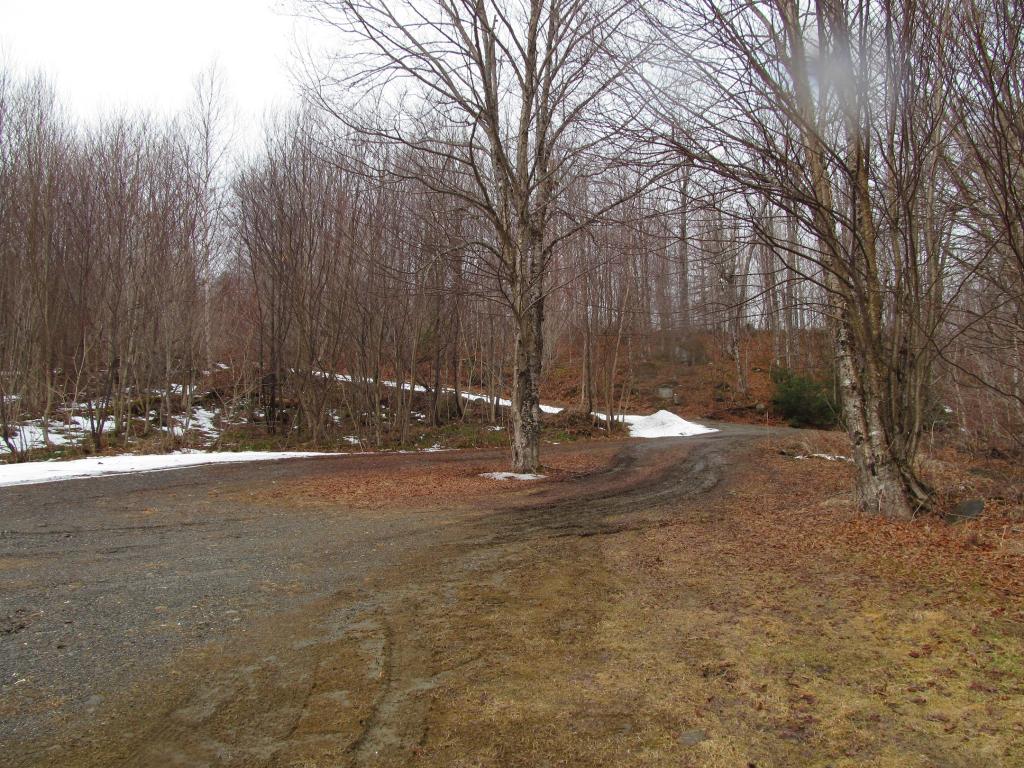 145 Deer Trail Road Clarksville, NH 03592 - Photo 7 of 19 Gallery Image 7