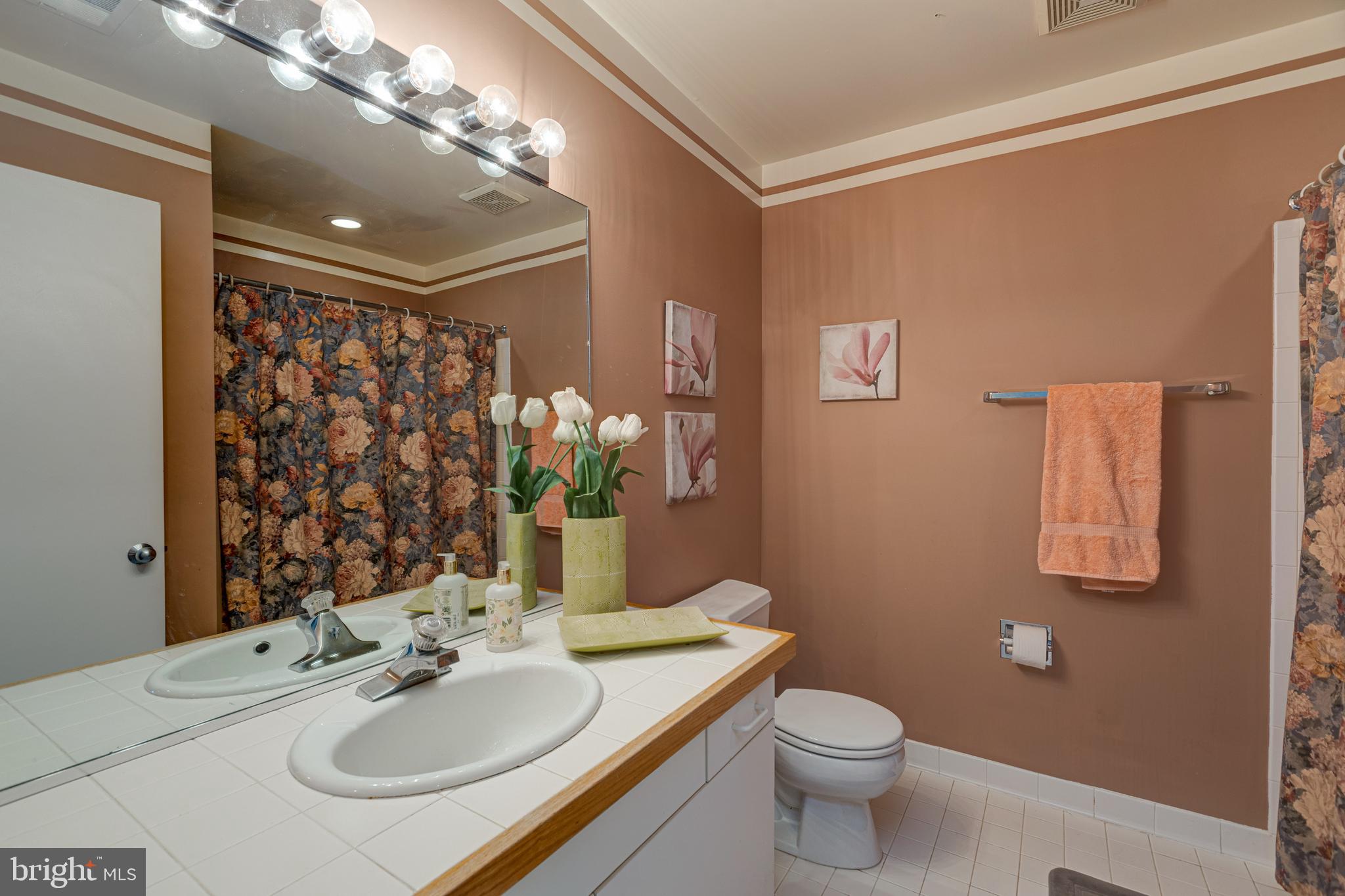 1973 Lakeport Way Reston, VA 20191 - Photo 47 of 69 Hallway full bathroom! It is spacious!
