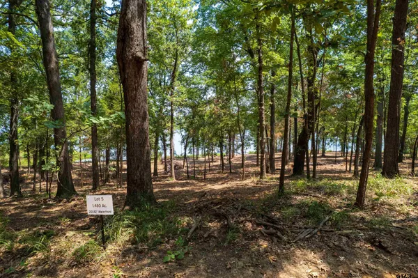 $400,000 | Lot 5 Big Oaks, Leesburg, TX 75451