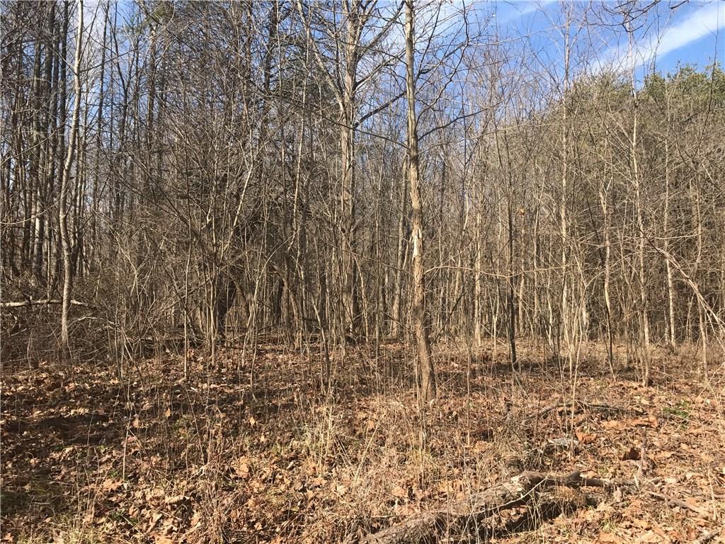 0 Buckskin Road Spencer, IN 47460 - Photo 1 of 3 Gallery Image 1