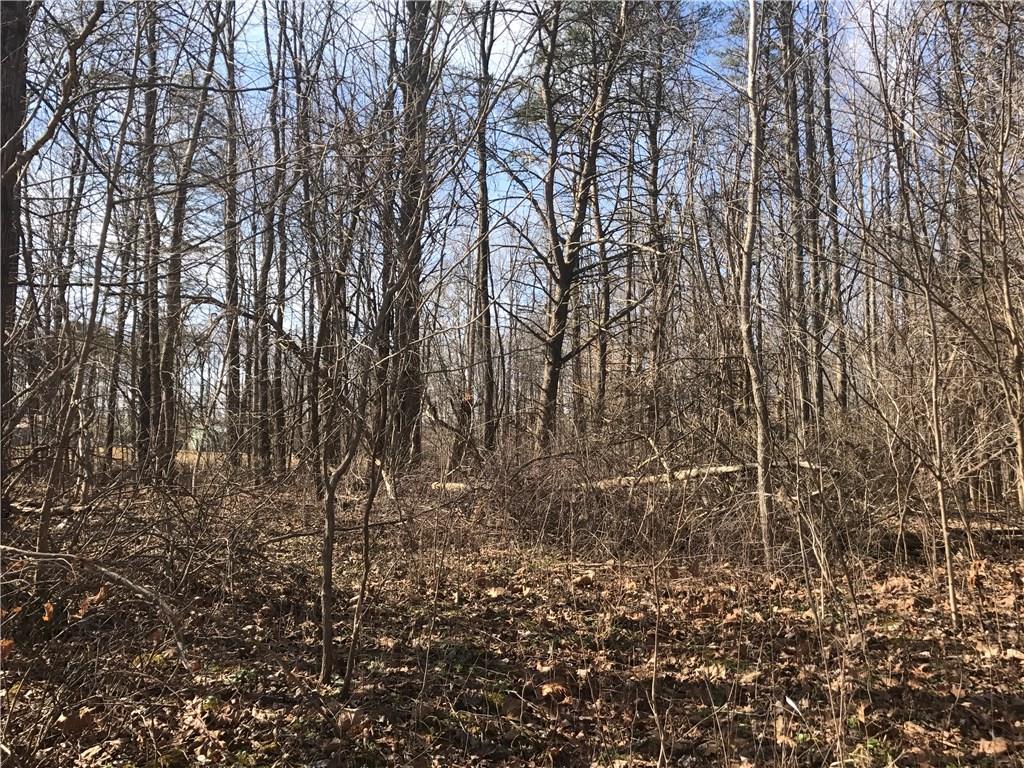 0 Buckskin Road Spencer, IN 47460 - Photo 3 of 3 Gallery Image 3