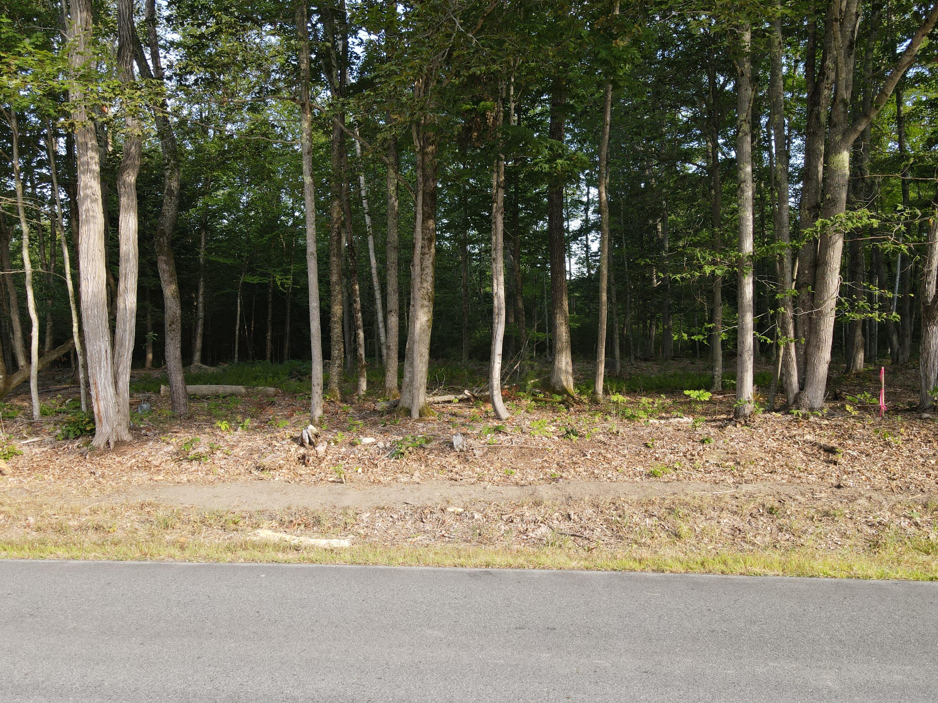 Lot 4 Oak Pond Road Canaan, ME 04924 - Photo 3 of 8 dji_fly_20250807_075646_588_175457140556