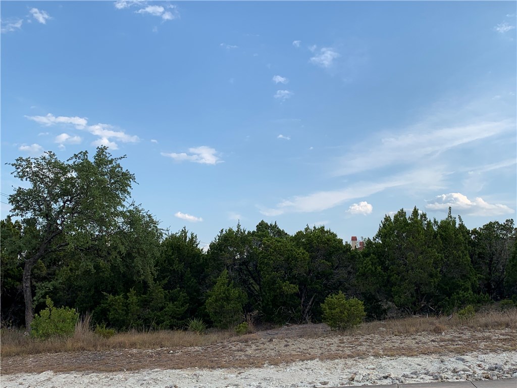 17670 West Reed Park Road Jonestown, TX 78645 - Photo 1 of 1