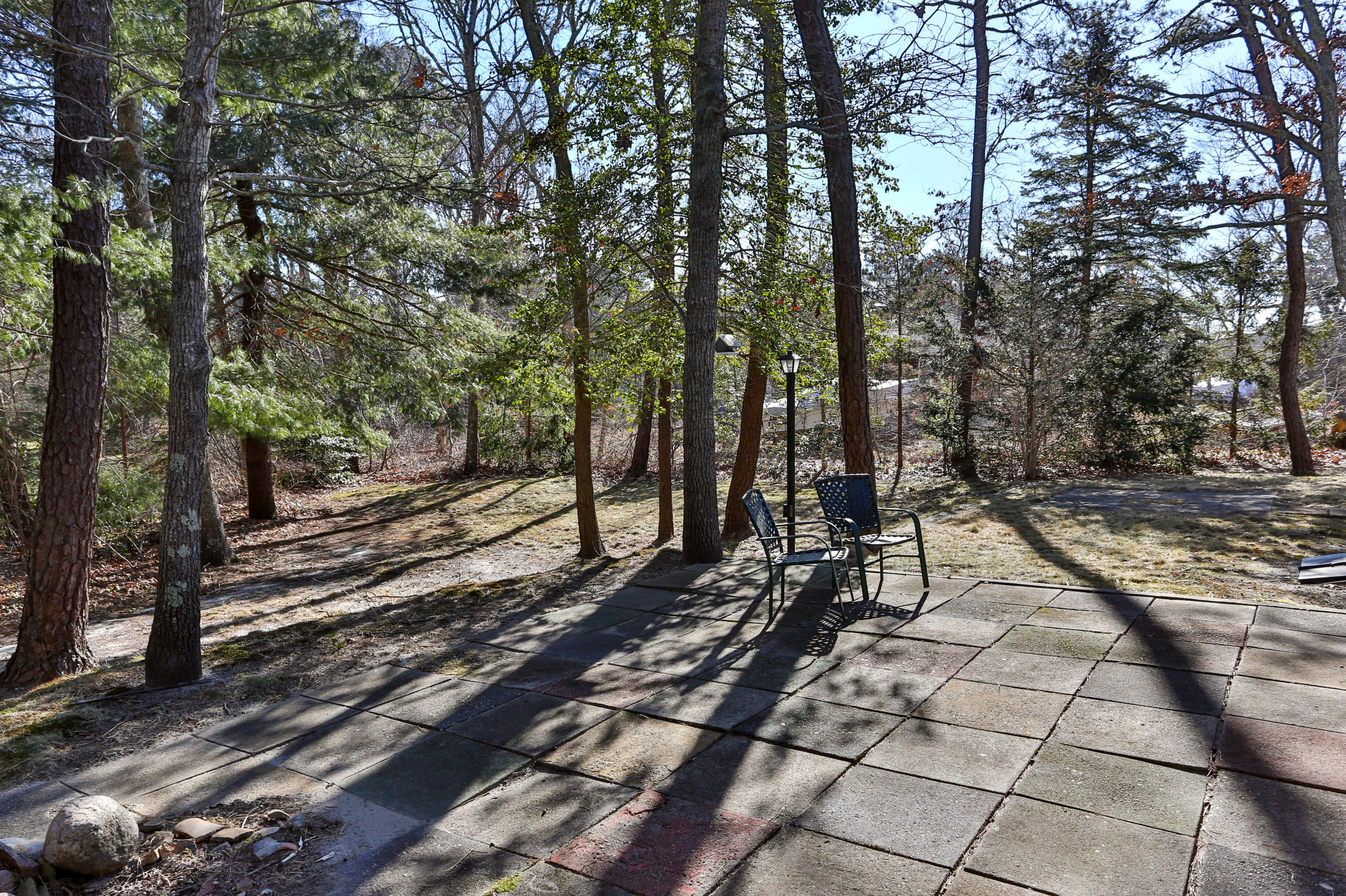 625 Poponessett Road Cotuit, MA 02635 - Photo 23 of 32 a view of a yard with plants and trees